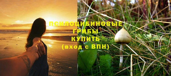 ПСИЛОЦИБИНОВЫЕ ГРИБЫ Балабаново