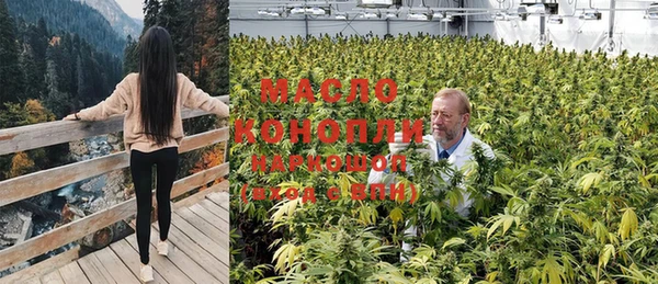 тгк Аркадак