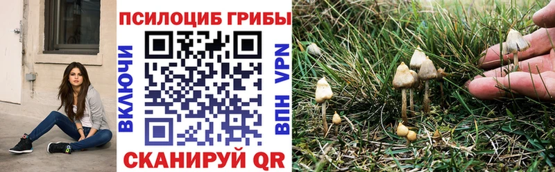 Псилоцибиновые грибы Magic Shrooms  Купить где  Новоузенск 