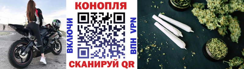 Купить закладки  Новоузенск  Конопля SATIVA & INDICA 
